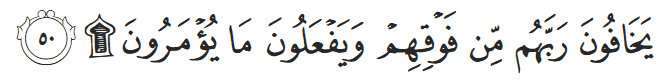 Surah an-Nahl ayat 50